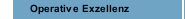 Operative Exzellenz