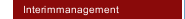 Interimmanagement